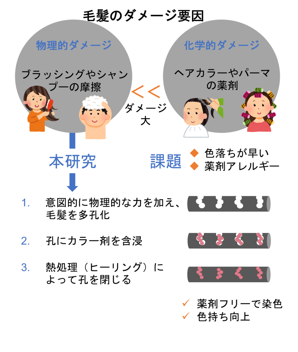 本技術を毛髪に応用し、ヘヤケア革命に挑戦