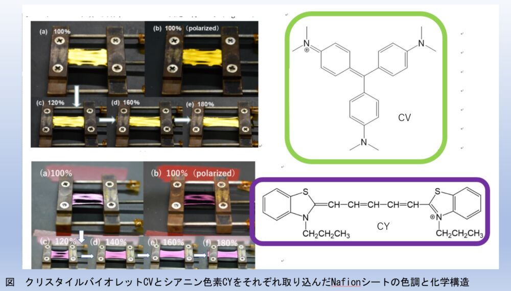 金属様光沢の仕組みを研究