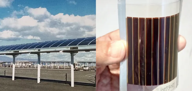 ペロブスカイト太陽電池の革新と実用化への展望